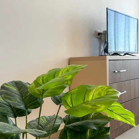 Apartamento 1 Bedroom 818
